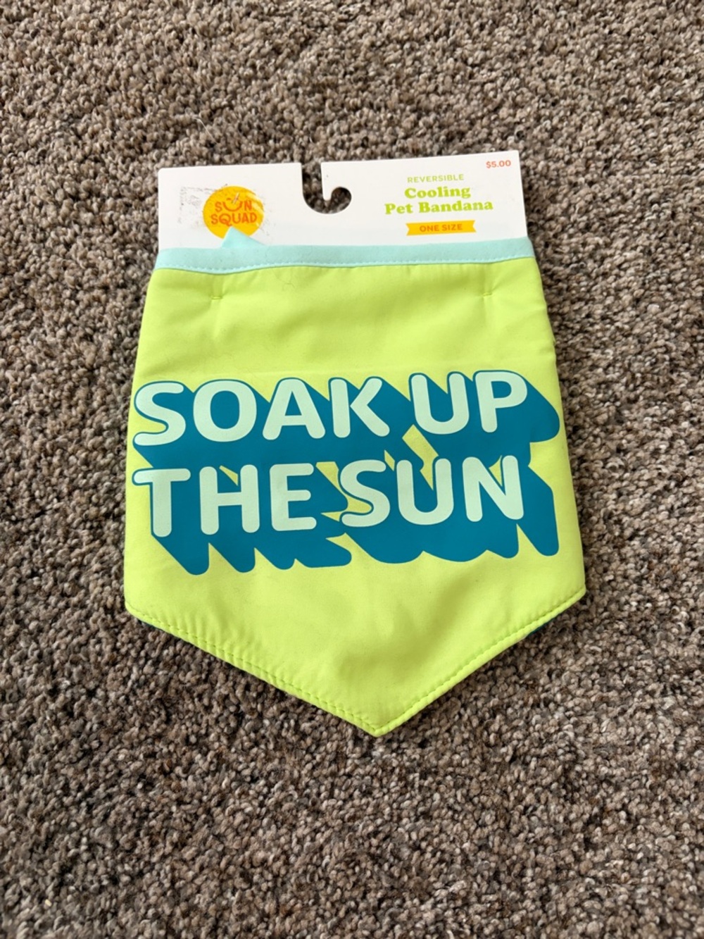Reversible Cooling Pet Bandana in Lime with Blue Print